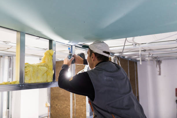 Best Commercial Insulation in Bazon, CA
